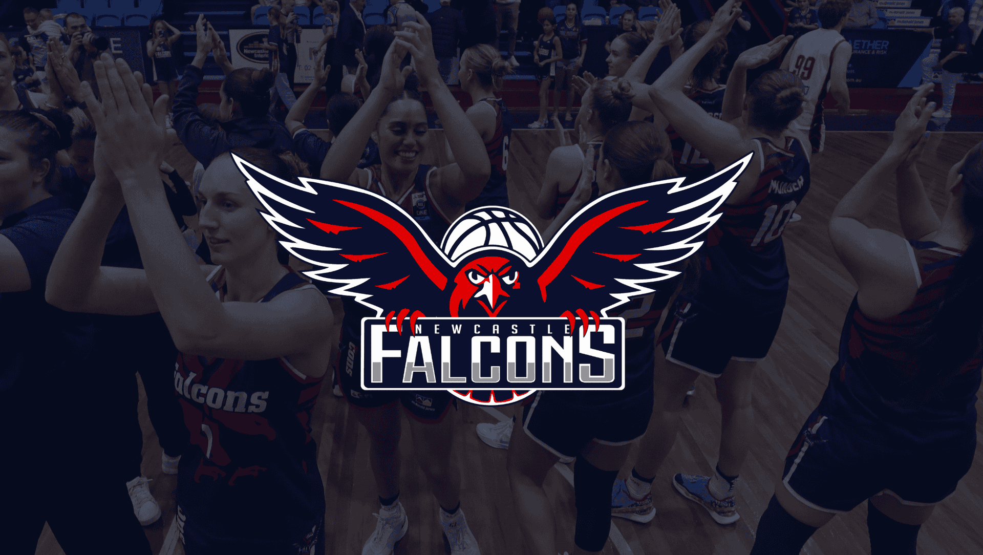 2025 NBL1 East Semi Final: Falcons v Bruins