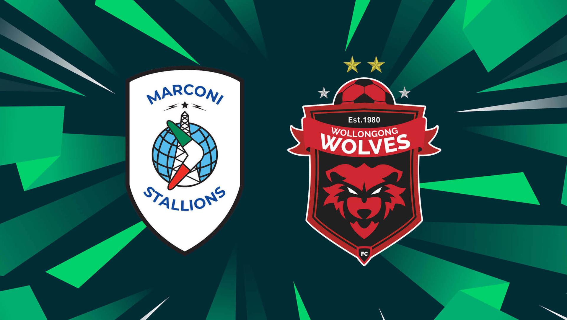 Marconi Stallions FC vs Wollongong Wolves