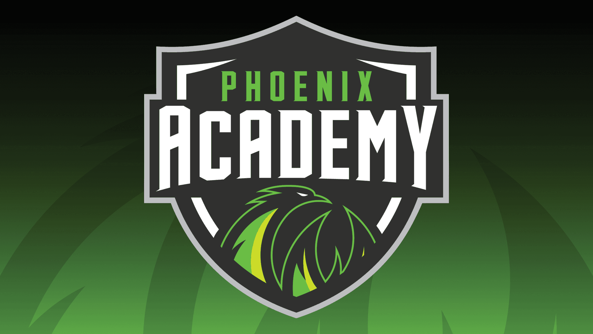 Phoenix Academy Tryouts - U16s & U18s - Term 2