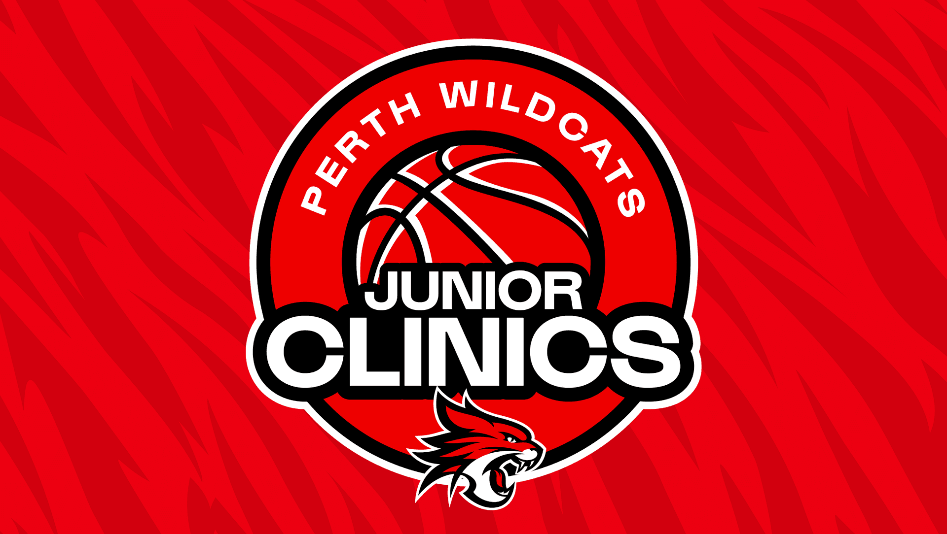 2026 Perth Wildcats' July Holiday Clinic 3