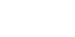 FAN ZONE WORLD CUP 26