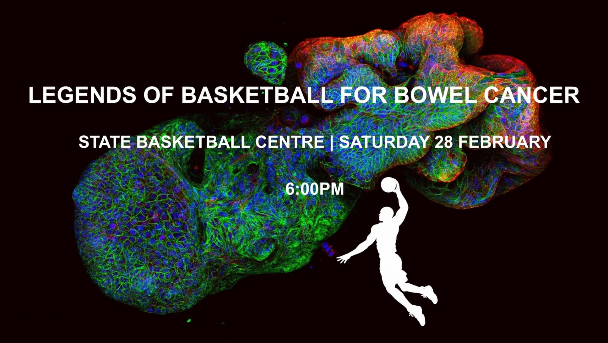 Legends of Basketball Game