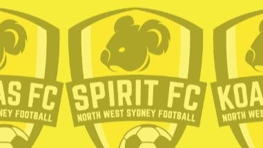 NWS Spirit